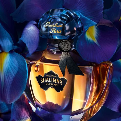 guerlain shalimar iris